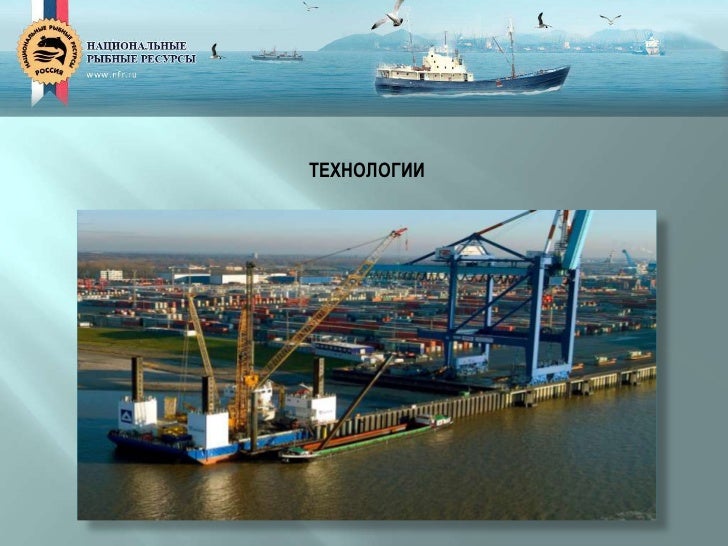 Портовое сооружение 3 буквы. „baltic container terminal“ рига, краны. Кинг абдуллах порт. Морской порт роттердам. Портовое сооружение 3 буквы.