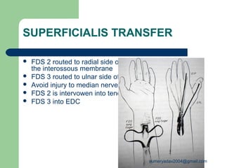 Fds Injuries radial nerve palsy | PPT