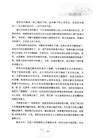 世界上最經典的128篇哲理美文