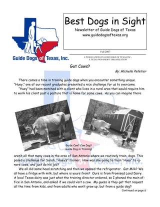 Best Dogs in Sight
                                          Newsletter of Guide Dogs of Texas
                                             www.guidedogsoftexas.org



                                                                Fall 2007

                                                  A PUBLICATION OF GUIDE DOGS OF TEXAS INC.,
                                                      A TEXAS NON-PROFIT ORGANIZATION


                                      Got Cows?
                                                                             By; Michelle Pelletier

   There comes a time in training guide dogs when you encounter something unique.
“Huey,” one of our recent graduates presented a nice challenge for us to overcome.
   “Huey” had been matched with a client who lives in a rural area that would require him
to work his client past a pasture that is home for some cows. As you can imagine there




                                   Guide Cow? Cow Dog?
                                   Guide Dog in Training!

aren’t all that many cows in the area of San Antonio where we routinely train dogs. This
posed a challenge for Sarah, “Huey’s” trainer. How was she going to train “Huey” to ig-
nore cows, and just do his job?
    We all did some head scratching and then we opened the refrigerator. Got Milk? We
all have a fridge with milk, but where is yours from? Ours is from Promised Land Dairy.
A local Texas dairy was just what the training director ordered, so I phoned the main of-
fice in San Antonio, and asked if we could visit a cow. My guess is they get that request
all the time from kids, and from adults who won’t grow up, but from a guide dog?
                                                                                   Continued on page 6
 