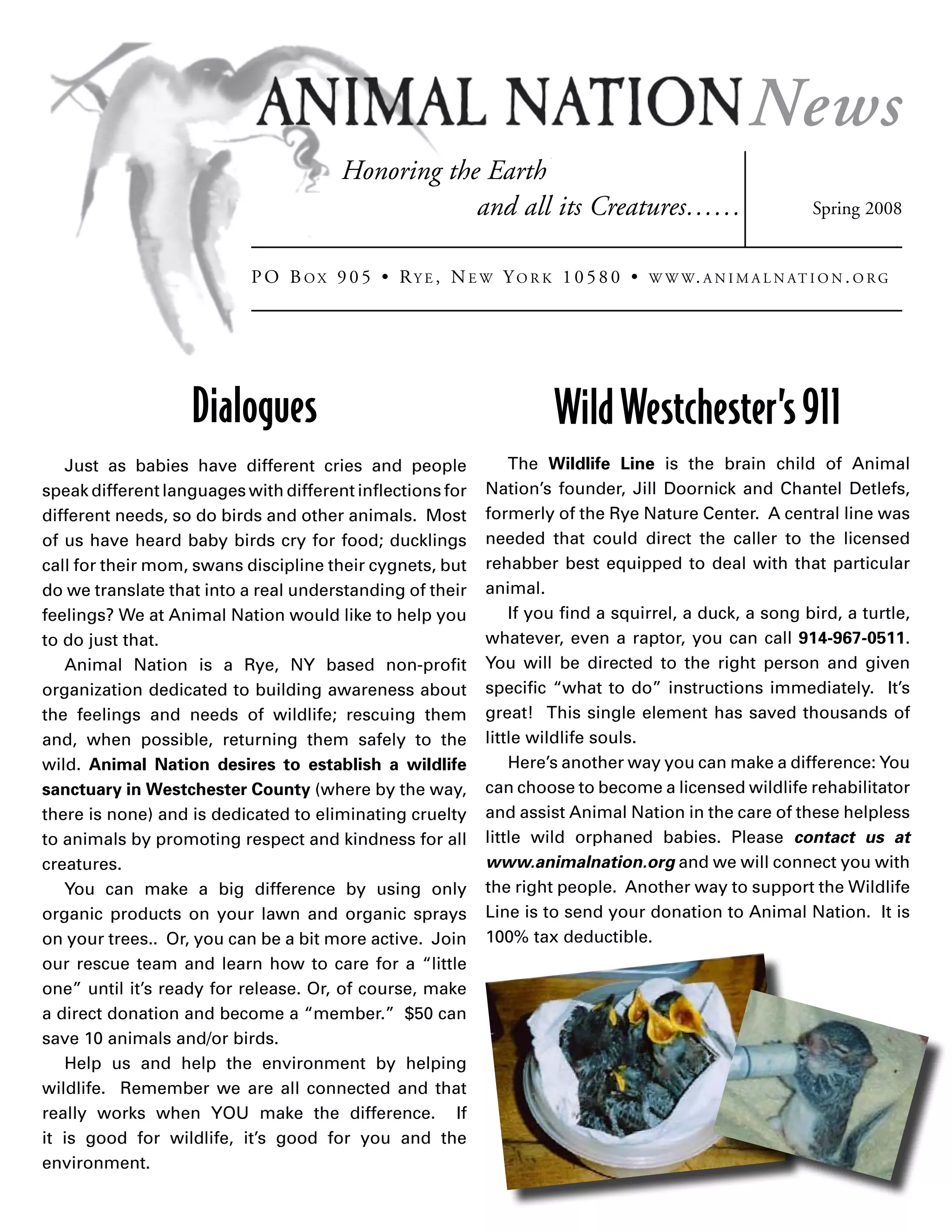 Morbidity and mortality weekly report pdf
