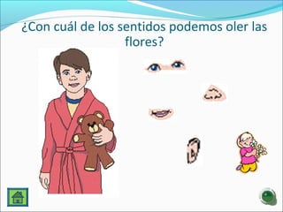 ¿Con cuál de los sentidos podemos oler las
flores?
 