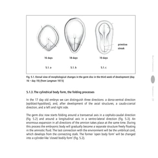 1281.pdf..Embryology...a comprehensive embryology | PDF