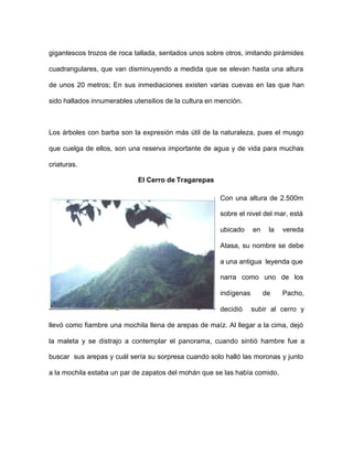 gigantescos trozos de roca tallada, sentados unos sobre otros, imitando pirámides
cuadrangulares, que van disminuyendo a medida que se elevan hasta una altura
de unos 20 metros; En sus inmediaciones existen varias cuevas en las que han
sido hallados innumerables utensilios de la cultura en mención.
Los árboles con barba son la expresión más útil de la naturaleza, pues el musgo
que cuelga de ellos, son una reserva importante de agua y de vida para muchas
criaturas.
El Cerro de Tragarepas
Con una altura de 2.500m
sobre el nivel del mar, está
ubicado en la vereda
Atasa, su nombre se debe
a una antigua leyenda que
narra como uno de los
indígenas de Pacho,
decidió subir al cerro y
llevó como fiambre una mochila llena de arepas de maíz. Al llegar a la cima, dejó
la maleta y se distrajo a contemplar el panorama, cuando sintió hambre fue a
buscar sus arepas y cuál sería su sorpresa cuando solo halló las moronas y junto
a la mochila estaba un par de zapatos del mohán que se las había comido.
 