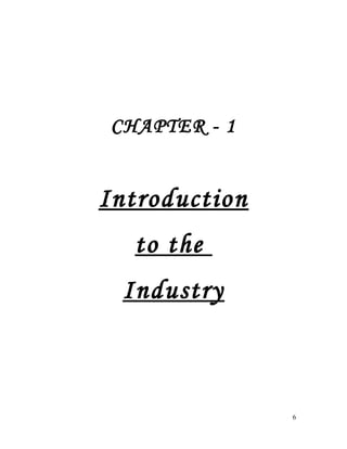 CHAPTER - 1
Introduction
to the
Industry
6
 
