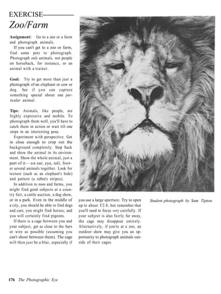 EXERCISE
Zoo/Farm
Assignment: Go to a zoo or a farm
and photograph animals.
  If you can't get to a zoo or farm,
find some pets to photograph.
Photograph only animals, not people
on horseback, for instance, or an
animal with a trainer.

Goal: Try to get more than just a
photograph of an elephant or cow or
dog. See if you can capture
something special about one par-
ticular animal.

Tips: Animals, like people, are
highly expressive and mobile. To
photograph them well, you'll have to
catch them in action or wait till one
stops in an interesting pose.
   Experiment with perspective. Get
in close enough to crop out the
background completely. Step back
and show the animal in its environ-
ment. Show the whole animal, just a
part of it — a n ear, eye, tail, foot-
er several animals together. Look for
texture (such as an elephant's hide)
and pattern (a zebra's stripes).
   In addition to zoos and farms, you
might find good subjects at a coun-
try fair, a cattle auction, a dog show,
or in a park. Even in the middle of       you use a large aperture. Try to open     Student photograph by Sam Tipton.
a city, you should be able to find dogs   up to about f/2.8, but remember that
and cats; you might find horses; and      you'll need to focus very carefully. If
you will certainly find pigeons.          your subject is also fairly far away,
   If there is a cage between you and     the cage may disappear entirely.
your subject, get as close to the bars    Alternatively, if you're at a zoo, an
or wire as possible (assuming you         outdoor show may give you an op-
can't shoot between them). The cage       portunity to photograph animals out-
will then just be a blur, especially if   side of their cages.




176 The Photographic Eye
 