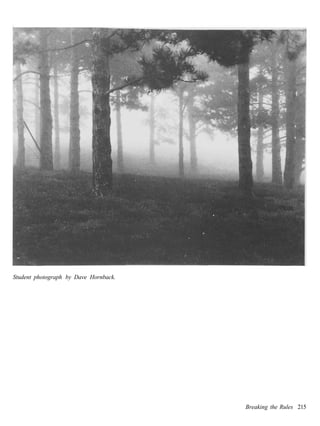 Student photograph by Dave Hornback.




                                       Breaking the Rules 215
 