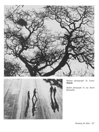 Student photograph by Lynne
Mattielli.

Student photograph by Jay David
Blumenfeld.




          Breaking the Rules 217
 