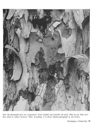 Does this photograph have any composition? (Look carefully and remember the grid.) What do you think of it?
How about its values? Its focus? What, if anything, is it about? (Student photograph by Jon Portis.)

                                                                                Developing a Critical Eye 79
 