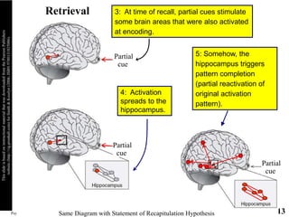 Psych 355, Miyamoto, Spr '16 13
This
slide
is
based
on
instructional
material
that
was
downloaded
from
the
Pearson
Publishers
website
(http://vig.prenhall.com)
for
Smith
&
Kosslyn
(2006;
ISBN
9780131825086).
3: At time of recall, partial cues stimulate
some brain areas that were also activated
at encoding.
5: Somehow, the
hippocampus triggers
pattern completion
(partial reactivation of
original activation
pattern).
Same Diagram with Statement of Recapitulation Hypothesis
4: Activation
spreads to the
hippocampus.
Retrieval
Partial
cue
Partial
cue
Partial
cue
 