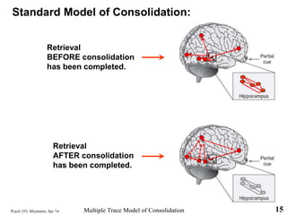 Psych 355, Miyamoto, Spr '16 15
Retrieval
BEFORE consolidation
has been completed.
Retrieval
AFTER consolidation
has been completed.
Standard Model of Consolidation:
Multiple Trace Model of Consolidation
 