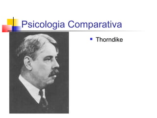 Psicologia Comparativa
 Thorndike
 