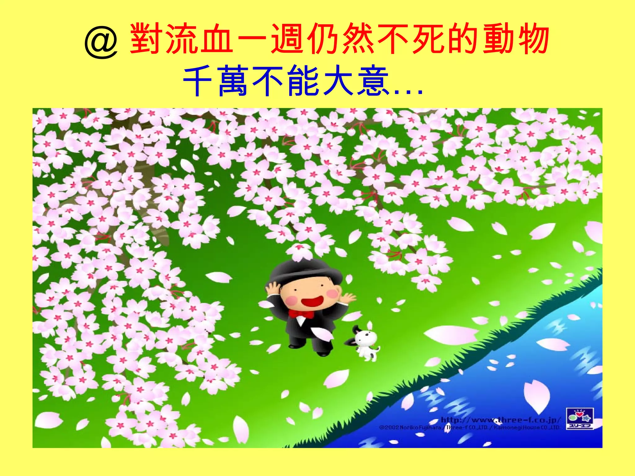 ＠ 對流血一週仍然不死的動物
千萬不能大意…  
 