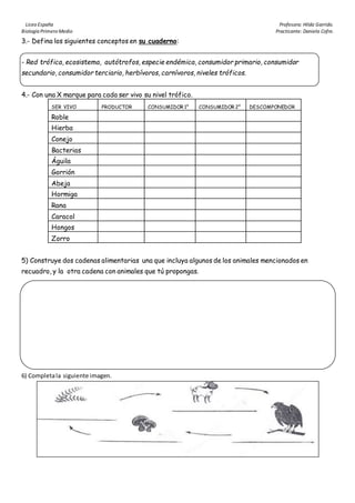 Liceo España Profesora: Hilda Garrido.
Biología Primero Medio Practicante: Daniela Cofre.
3.- Defina los siguientes conceptos en su cuaderno:
- Red trófica, ecosistema, autótrofos, especie endémica, consumidor primario, consumidor
secundario, consumidor terciario, herbívoros, carnívoros, niveles tróficos.
4.- Con una X marque para cada ser vivo su nivel trófico.
SER VIVO PRODUCTOR CONSUMIDOR 1° CONSUMIDOR 2° DESCOMPONEDOR
Roble
Hierba
Conejo
Bacterias
Águila
Gorrión
Abeja
Hormiga
Rana
Caracol
Hongos
Zorro
5) Construye dos cadenas alimentarias una que incluya algunos de los animales mencionados en
recuadro, y la otra cadena con animales que tú propongas.
6) Completala siguiente imagen.
 