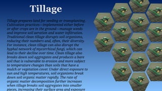 Prince Soil sampling techniques and methods.pptx