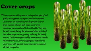 Prince Soil sampling techniques and methods.pptx