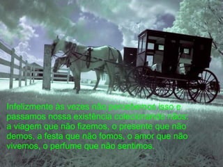 Infelizmente às vezes não percebemos isso e
passamos nossa existência colecionando nãos:
a viagem que não fizemos, o presente que não
demos, a festa que não fomos, o amor que não
vivemos, o perfume que não sentimos.
 