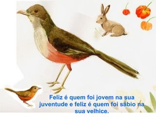 Feliz é quem foi jovem na sua
juventude e feliz é quem foi sábio na
            sua velhice.
 