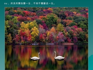 04 、所見所聞改變一生，不知不覺斷送一生。 