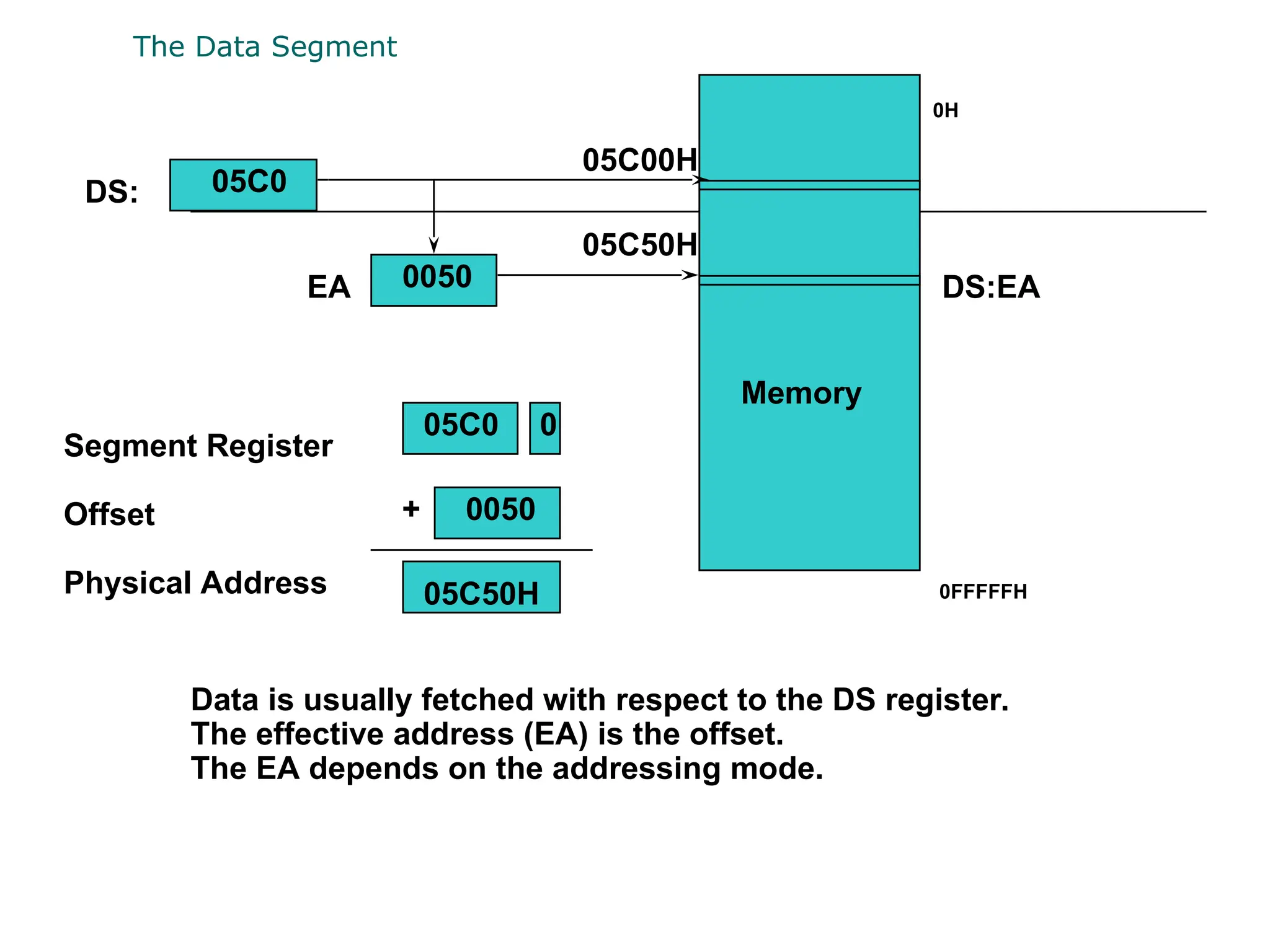 The Data Segment
Memory
Segment Register
Offset
Physical Address
+
DS:
EA
05C0
0050
05C00H
05C50H
05C0 0
0050
05C50H
Data is usually fetched with respect to the DS register.
The effective address (EA) is the offset.
The EA depends on the addressing mode.
DS:EA
0H
0FFFFFH
 