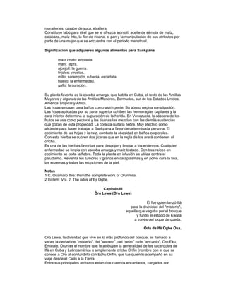 marañones, casabe de yuca, etcétera.
Constituye tabú para él el que se le ofrezca ajonjolí, aceite de sémola de maíz,
calabaza, maíz frito, la flor de vicaria, el pan y la manipulación de sus atributos por
parte de una mujer que se encuentre con el periodo menstrual.
Significacion que adquieren algunos alimentos para Sankpana
maíz crudo: eripisela.
maní: lepra.
ajonjolí: la guerra.
frijoles: viruelas.
millo: sarampión, rubeola, escarlata.
huevo: la enfermedad.
gallo: la curación.
Su planta favorita es la escoba amarga, que habita en Cuba, el resto de las Antillas
Mayores y algunas de las Antillas Menores, Bermudas, sur de los Estados Unidos,
América Tropical y África.
Las hojas se usan para baños como astringente. Su abuso origina constipación.
Las hojas aplicadas por su parte superior cohiben las hemorragias capilares y la
cara inferior determina la supuración de la herida. En Venezuela, la cáscara de los
frutos se usa como pectoral y las tisanas las mezclan con las demás sustancias
que gozan de ésta propiedad. La corteza quita la fiebre. Muy efectivo como
aliciente para hacer trabajar a Sankpana a favor de determinada persona. El
cocimiento de las hojas y la raíz, combate la obesidad en baños corporales.
Con esta hierba se cubren dos jícaras que en la regla de los arará contienen al
oricha.
Es una de las hierbas favoritas para despojar y limpiar a los enfermos. Cualquier
enfermedad se limpia con escoba amarga y maíz tostado. Con tres raíces en
cocimiento se corta la fiebre. Toda la planta en infusión se utiliza contra el
paludismo. Revienta los tumores y granos en cataplasmas y en polvo cura la tina,
las eczemas y todas las erupciones de la piel.
Notas
1 C. Osamaro Ibie: Ifism the complete work of Orunmila.
2 Ibídem: Vol. 2, The odus of Eji Ogbe.
Capítulo III
Òró Lewe (Oro Lewe)
Él fue quien lanzó Ifá
para la divinidad del "misterio",
aquella que vagaba por el bosque
y fundó el estado de Kwara
a través del toque de queda.
Odu de Ifá Ogbe Osa.
Oro Lewe, la divinidad que vive en lo más profundo del bosque, es llamado a
veces la deidad del "misterio", del "secreto", del “retiro” o del "encanto". Oro Eku,
Eminale, Orun es el nombre que le atribuyen la generalidad de los sacerdotes de
Ifá en Cuba y Latinoamérica o simplemente oricha Orifin (nombre con el que se
conoce a Oro al confundirlo con Echu Orifin, que fue quien lo acompañó en su
viaje desde el Cielo a la Tierra.
Entre sus principales atributos estan dos cuernos encantados, cargados con

 