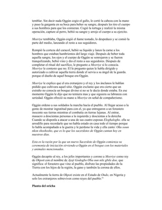 temblar. Sin decir nada Oggún cogio el gallo, le cortó la cabeza con la mano
y puso la garganta en su boca para beber su sangre, después les tiro el cuerpo
a sus hombres para que los comieran. Cogió la tortuga y realizó la misma
operación, capture al perro, bebió su sangre y arrojo el cuerpo a su ejercito.
Meeriye temblaba, Oggún cogió el ñame tostado, lo despedazo y se comió la
parte del medio, lanzando el resto a sus seguidores.
Rompió la corteza del caracol, bebió su líquido y lanzo la carne a los
hombres que estaban hambrientos del largo viaje. Después de beber toda
aquella sangre, los ojos y el cuerpo de Oggún se sonrojaron y se fueron
tranquilizando, bebió vino y dio el resto a sus seguidores. Después de
completar el ritual del sacrifico, le pregunto a Meeriye si lo conocía.
Meeriye le contesto que no. El le pregunto quien le habla dirigido y
autorizado a cultivar aquella tierra donde el servia a su ángel de la guarda.
porque el dueño de aquel bosque era Oggún.
Meeriye le explico que el era extranjero y el rey y los ánclanos le hablan
pedido que cultivara aquel sitio. Oggún exclamo que era cierto que un
extraño no conocía un bosque divino si no se le decía donde estaba. En ese
momento Oggún le dijo que no temiera mas y que siguiera su labranza con
seriedad. Oggún ofreció su mano a Meeriye en señal de compañerismo.
Oggún ordeno a sus soldados la marcha hacía el pueblo. Al llegar acuso a la
gente de mostrar ingratitud para con el, ya que entregaron a un forastero
inocente sus tierras mientras el combatía en tierras lejanas. Al entrar,
masacro a doscientas personas a la izquierda y doscientas a la derecha
Cuando se disponla a atacar a una de sus cuatro esposas Eleghalogho. ella se
arrodillo para recordarle que no habla estado en casa todo el tiempo porque
lo habla acompañado a la guerra y le perdono la vida y ella canto: Oku ooun
nkon shoshosho, que es lo que los sacerdotes de Oggún cantan hoy en
nuestros días.
Esta es la razón por la que un nuevo Sacerdote de Oggún comienza su
ceremonia de iniciación sirviendo a Oggún en el bosque con los materiales
y animales mencionados.
Oggún decapito al rey, a los jefes importantes y corono a Meeriye como rey
de Okpoti con el nombre de Ajoji Godogbo Oba oun nile gbile doo, que
significa: el forastero que vino al pueblo, disfruto las propiedades do la
Tierra con los hijos de la región, la gano y también la corona de ellos.
Actualmente la tierra de Okpoti existe en el Estado de Ondo, en Nigeria y
solo los extranjeros sobreviven como reyes del pueblo.'°
Planta del oricha

 