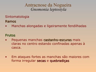 Antracnose da Nogueira
Gnomonia leptostyla
Sintomatologia
RamosRamos
• Manchas alongadas e ligeiramente fendilhadas
FrutosFrutos
• Pequenas manchas castanho-escurascastanho-escuras mais
claras no centro estando confinadas apenas à
casca.
• Em ataques fortes as manchas são maiores com
forma irregular secassecas e quebradiçasquebradiças
 