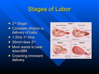 Stages of Labor <ul><li>2 nd  Stage: </li></ul><ul><li>Complete dilation to delivery of baby </li></ul><ul><li>1-2hrs 1 st...