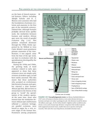 Pliopithecus Evolution Principles of Human Evolution 2nd Edition Foley | PDF