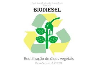 Escola Secundária Artística António Arroio
                  2011/2012


      Biodiesel




Reutilização de óleos vegetais
        Pedro Serrano nº 23 12ºA
 