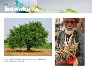 História

Introdução




• A primeira escova de que se tem notícia foi encontrada
numa tumba de 5 mil anos.
 