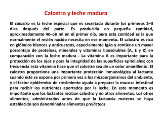 Calostro y leche madura 
El calostro es la leche especial que es secretada durante los primeros 2–3 
días después del parto. Es producida en pequeña cantidad, 
aproximadamente 40–50 ml en el primer día, pero esta cantidad es la que 
normalmente el recién nacido necesita en ese momento. El calostro es rico 
en glóbulos blancos y anticuerpos, especialmente IgAs y contiene un mayor 
porcentaje de proteínas, minerales y vitaminas liposolubles (A, E y K) en 
comparación con la leche madura . La vitamina A es importante para la 
protección de los ojos y para la integridad de las superficies epiteliales; con 
frecuencia esta vitamina hace que el calostro sea de un color amarillento. El 
calostro proporciona una importante protección inmunológica al lactante 
cuando éste se expone por primera vez a los microorganismos del ambiente, 
y el factor epidérmico de crecimiento ayuda a preparar la mucosa intestinal 
para recibir los nutrientes aportados por la leche. En este momento es 
importante que los lactantes reciban calostro y no otros alimentos. Los otros 
alimentos, administrados antes de que la lactancia materna se haya 
establecido son denominados alimentos prelácteos. 
 