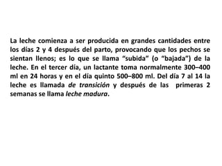 La leche comienza a ser producida en grandes cantidades entre 
los días 2 y 4 después del parto, provocando que los pechos se 
sientan llenos; es lo que se llama “subida” (o “bajada”) de la 
leche. En el tercer día, un lactante toma normalmente 300–400 
ml en 24 horas y en el día quinto 500–800 ml. Del día 7 al 14 la 
leche es llamada de transición y después de las primeras 2 
semanas se llama leche madura. 
 