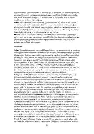 19
Οι ξυλοναυπηγοί χρησιμοποιούσαν το πουρνάρι για τα πιο ισχυρά και γονατοειδή μέρη της
κατασκευής (ακράπι) και τα μικρότερα κομμάτια για τις καβίλιες. Από δρύ κατασκεύαζαν
τους νομείς (πλευρά του σκάφους), τα ποδοστάματα, τα καμάρια και όλες τις ισχυρές
συνδέσεις του σκελετού ενός σκάφους.
Φτελιά: Παλιότερα αρκετοί ξυλοναυπηγοί χρησιμοποιούσαν την ορεινή φτελιά (Ulmus
montana) και την ποδισκοφόρα φτελιά (Ulmus cendunculata) στο σκελετό των σκαφών.
Σήμερα η φτελιά όπως και η δρυς δε χρησιμοποιούνται πλέον στα ελληνικά ναυπηγεία. Η
φτελιά είναι ξύλο βαρύ και καρφώνεται καλά, ενώ παρουσιάζει μεγάλη αντοχή στο σχίσιμο.
Το καρδιόξυλο έχει αρκετά μεγάλη διάρκεια ζωής και αντοχή.
Μουριά: Τα είδη μουριάς που υπάρχουν στην Ελλάδα είναι η morus alba (με τα άσπρα
μούρα) και η morus nigra (με τα μαύρα μούρα).Το ξύλο τους είναι μέτριας σκληρότητας και
μέτριου βάρους. Μέχρι τη δεκαετία του 60 χρησιμοποιούσαν το ξύλο της μουριάς σε
τμήματα του σκελετού του σκάφους.
Κωνοφόρα
Πεύκο: Όλοι οι ξυλοναυπηγοί στο παρελθόν, με εξαίρεση τους ναυπηγούς από τα νησιά του
Ιονίου χρησιμοποιούσαν αποκλειστικά πεύκο για το πέτσωμα και τα περισσότερα τμήματα
του σκελετού. Η μεγάλη περιεκτικότητα σε ρητίνη ήταν και είναι το σπουδαιότερο κριτήριο
επιλογής του είδους πεύκου. Με βάση αυτό το χαρακτηριστικό η χαλέπιος πεύκη (Pinus
halepensis) και η τραχεία πεύκη (Pinus brutia) είναι τα καταλληλότερα είδη, ειδικά τα
προερχόμενα από τη Σάμο. Τα καταλληλότερα δένδρα είναι αυτά που ο κορμός τους έχει
φυσική καμπυλότητα γιατί με κατάλληλη πρίση των καμπύλων κορμών (στραβόξυλα)
παρήγαγαν καμπύλα πριστά με τα οποία κατασκεύαζαν τα καμπύλα τμήματα του σκελετού
(ποδοστάματα, μπρατσόλια, νομείς). Πεύκα που αναπτύσσονται σε πλαγιές, όπως και
πεύκα που δέχονται ισχυρούς ανέμους σχηματίζουν καμπύλους κορμούς.
Κυπαρίσσι: Στην Ελλάδα αναπτύσσονται δύο ποικιλίες κυπαρισσιού. Η πρώτη ποικιλία
είναι το πυραμιδοειδές - πλαγιόκλαδο, το οποίο έχει κλαδιά σχεδόν κατακόρυφα
(Cupressus sempervirens var. pyramidalis) και η δεύτερη ποικιλία είναι το οριζοντιόκλαδο,
το οποίο έχει τα κλαδιά σχεδόν οριζόντια (Cupressus sempervirens var. horizontalis). Και τα
δύο είδη παρέχουν σκληρή και ανθεκτική ξυλεία μέτριου βάρους. Από το πρώτο είδος στη
ναυπηγική τέχνη χρησιμοποιείται μόνο ο κορμός για κατασκευή καταρτιών και πριστής
ξυλείας για πέτσωμα και το κατάστρωμα. Από το δεύτερο είδος εκτός από τον κορμό
χρησιμοποιούταν και τα καμπύλα κλαδιά για τα καμπύλα στοιχεία του σκελετού.
Ιδιαίτερο ενδιαφέρον έχει το σφακιανό κυπαρίσσι με οριζόντια κλαδιά, αυτοφυές δένδρο,
στο οποίο ο κορμός και τα οριζόντια κλαδιά είναι πολύ πλούσια σε εγκάρδιο ξύλο με
πολλούς ρητινοφόρους αγωγούς και ρετσίνι, δομικά στοιχεία που καθιστούν το
κυπαρισσένιο ξύλο ανθεκτικό στο σάπισμα και τα ξυλοφάγα έντομα.. Εδώ το κυπαρίσσι σε
ηλικία 18-20 χρόνων υλοτομούταν σε ύψος 1 με 2 m από το έδαφος και έδινε ένα ιστό για
βάρκα ή ένα στύλο μήκους 3,5-4 m για οικοδομική χρήση (Σχ.1α). Ο κυπαρισσένιος στύλος
των Σφακιών είναι μια πρωτόγονη μορφή του Mινωϊκού κίονα. Μετά την πρώτη κοπή στην
ηλικία των 18-20 χρόνων, τα κλωνάρια που βρίσκονται κάτω από την τομή θα έχουν
κατακόρυφη ανάπτυξη και ύστερα από 5 με 10 χρόνια υλοτομούνταν τα δύο κλωνάρια που
κυριάρχησαν και προέκυπταν δύο νέοι στύλοι και σπάνια μια διχάλα σε σχήμα σκάλας
(Σχ.1β). Αν η πρώτη υλοτομία γίνει όχι σε ηλικία 20 ετών αλλά στα 30 και 40 χρόνια τότε
αντί για στύλο θα προκύψει τεμάχιο ξύλου μήκους 4m (γνωστό στην οικοδομική μετά από
 