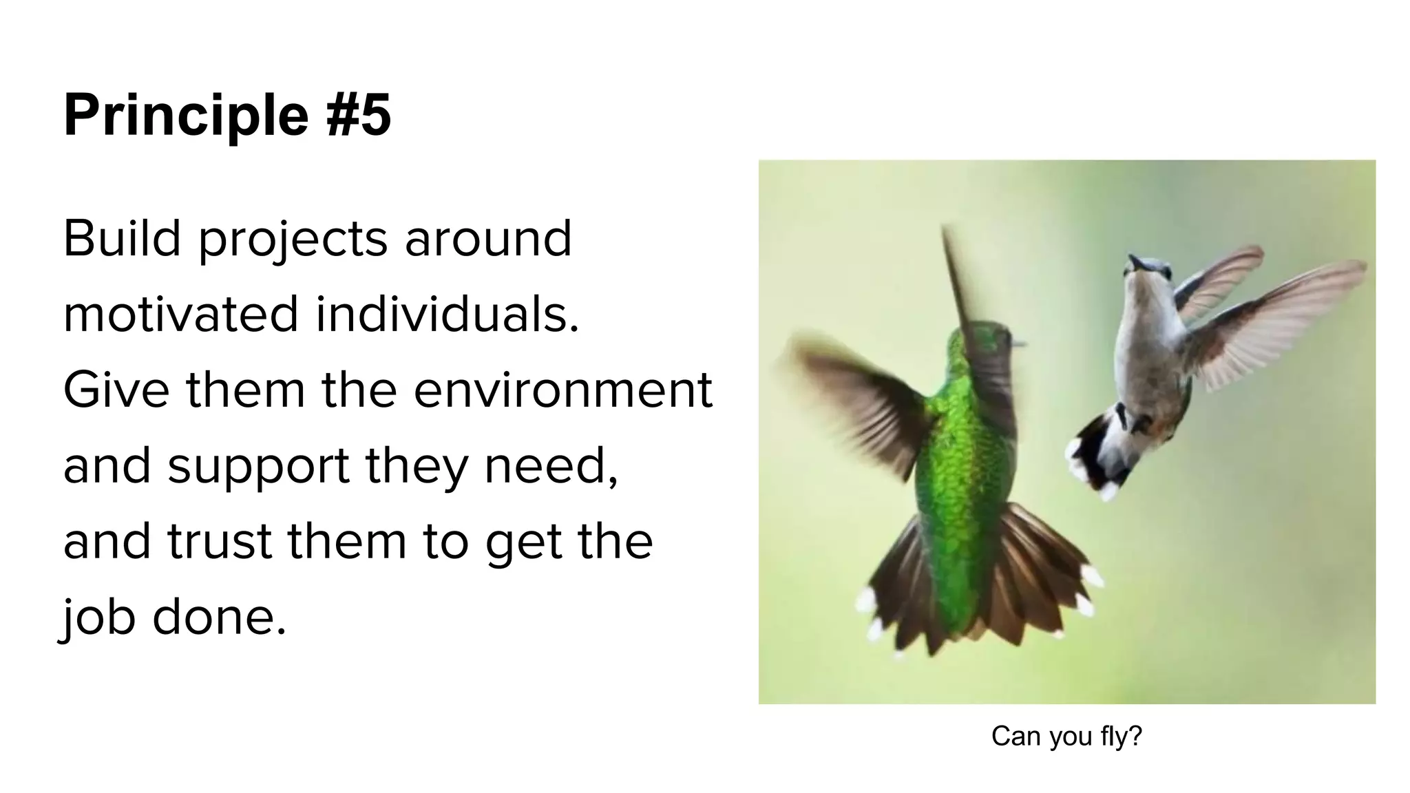 Build projects around
motivated individuals.
Give them the environment
and support they need,
and trust them to get the
job done.
Can you fly?
Principle #5