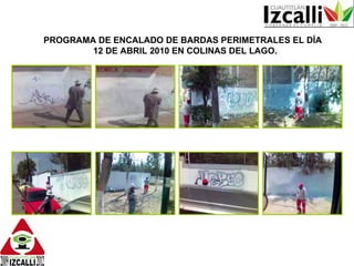 PROGRAMA DE ENCALADO DE BARDAS PERIMETRALES EL DÍA 12 DE ABRIL 2010 EN COLINAS DEL LAGO. 
