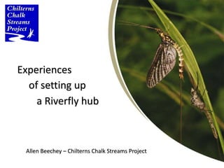 Experiences
Allen Beechey – Chilterns Chalk Streams Project
of setting up
a Riverfly hub
 