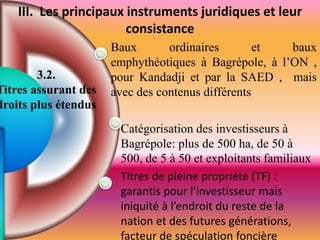 Baux ordinaires et baux
emphythéotiques à Bagrépole, à l’ON ,
pour Kandadji et par la SAED , mais
avec des contenus différents
Catégorisation des investisseurs à
Bagrépole: plus de 500 ha, de 50 à
500, de 5 à 50 et exploitants familiaux
Titres de pleine propriété (TF) :
garantis pour l’investisseur mais
iniquité à l’endroit du reste de la
nation et des futures générations,
facteur de spéculation foncière
3.2.
Titres assurant des
droits plus étendus
III. Les principaux instruments juridiques et leur
consistance
 