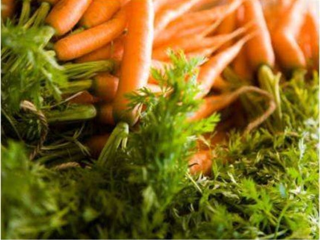 Økt verdiskaping for grønnsaker, poteter, frukt og bær - Anders R. No…