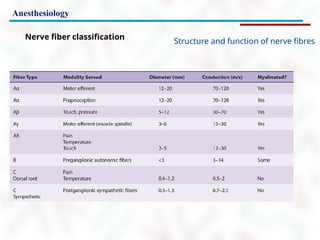 Anesthesiology
Nerve fiber classification
Structure and function of nerve fibres
 