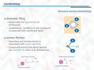 Anesthesiology
Structure activity relationships
R
R
R -
R
R
N
/
-

----
+
H
 