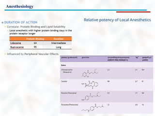 Anesthesiology
Relative potency of Local Anesthetics
 