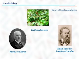 Anesthesiology
History of local anaesthetics
Erythroxylon coca
Albert Niemann
inventor of cocaine
Vassily von Anrep
 