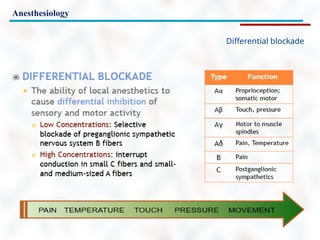 Anesthesiology
Differential blockade
 