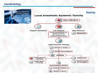 Anesthesiology
Toxicity
 