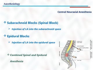 Anesthesiology
Central Neuraxial Anesthesia
 Subarachnoid Blocks (Spinal Block)
 Injection of LA into the subarachnoid space
 Epidural Blocks
 Injection of LA into the epidural space
 Combined Spinal and Epidural
Anesthesia
 