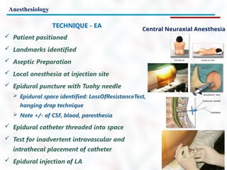 Anesthesiology
Central Neuraxial Anesthesia
TECHNIQUE - EA
 Patient positioned
 Landmarks identified
 Aseptic Preparation
 Local anesthesia at injection site
 Epidural puncture with Tuohy needle
 Epidural space identified: LossOfResistanceTest,
hanging drop technique
 Note +/- of CSF, blood, paresthesia
 Epidural catheter threaded into space
 Test for inadvertent intravascular and
intrathecal placement of catheter
 Epidural injection of LA
 