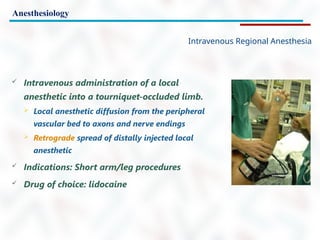 Anesthesiology
Intravenous Regional Anesthesia
 Intravenous administration of a local
anesthetic into a tourniquet-occluded limb.
 Local anesthetic diffusion from the peripheral
vascular bed to axons and nerve endings
 Retrograde spread of distally injected local
anesthetic
 Indications: Short arm/leg procedures
 Drug of choice: lidocaine
 