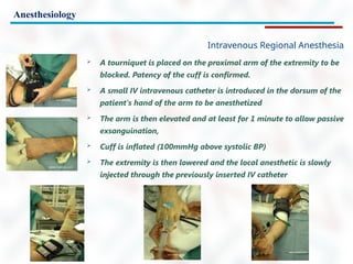 Anesthesiology
Intravenous Regional Anesthesia
 A tourniquet is placed on the proximal arm of the extremity to be
blocked. Patency of the cuff is confirmed.
 A small IV intravenous catheter is introduced in the dorsum of the
patient's hand of the arm to be anesthetized
 The arm is then elevated and at least for 1 minute to allow passive
exsanguination,
 Cuff is inflated (100mmHg above systolic BP)
 The extremity is then lowered and the local anesthetic is slowly
injected through the previously inserted IV catheter
 