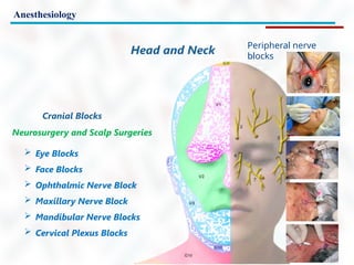 Anesthesiology
Peripheral nerve
blocks
 Eye Blocks
 Face Blocks
 Ophthalmic Nerve Block
 Maxillary Nerve Block
 Mandibular Nerve Blocks
 Cervical Plexus Blocks
Cranial Blocks
Neurosurgery and Scalp Surgeries
Head and Neck
 